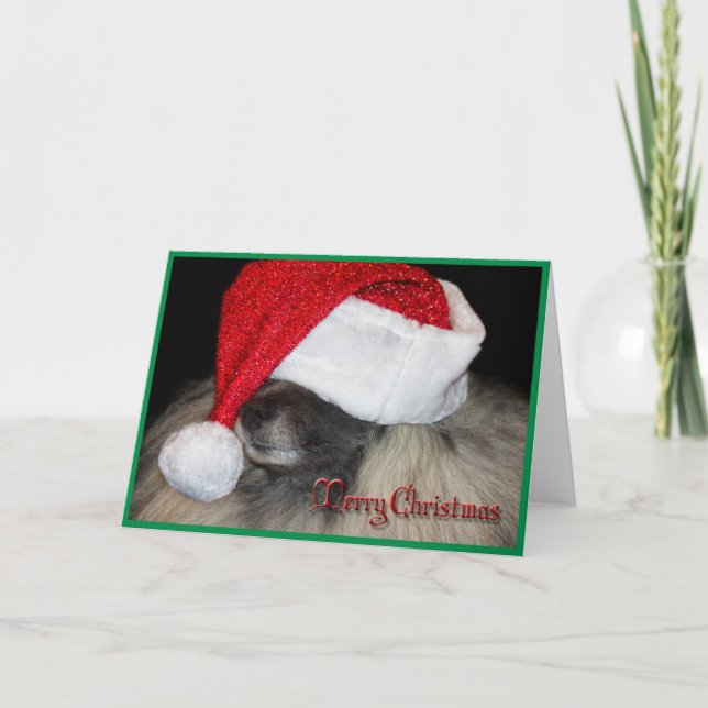 La carte de voeux inconnue de pattes de Père Noël (Devant)
