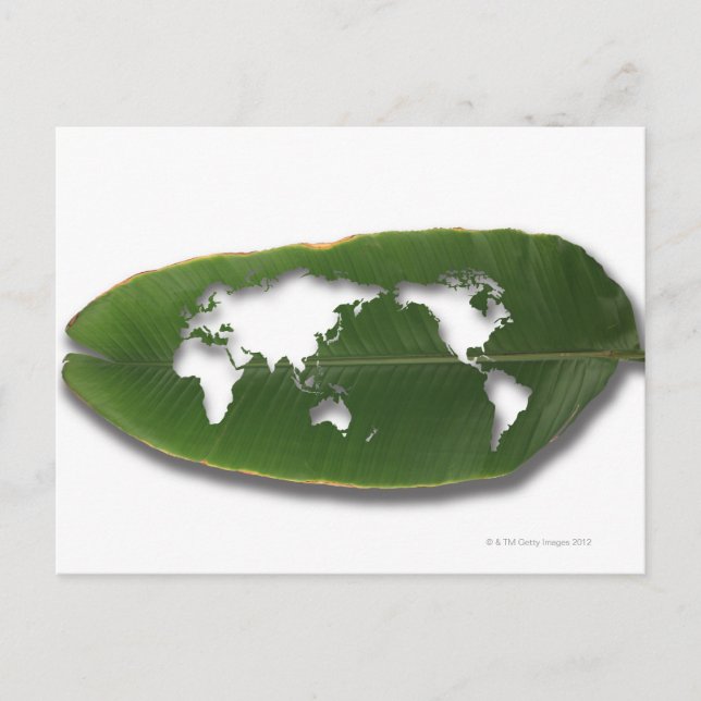 La carte du monde rongée par les vers (Devant)