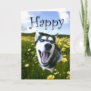 La carte enrouée la plus mignonne de joyeux