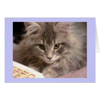 La carte nouvelle sans valeur de Maynard