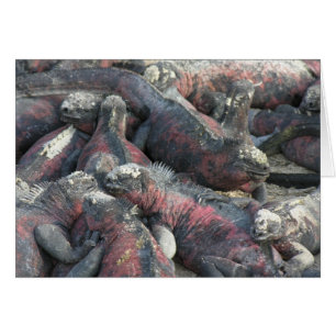 La carte postale de pacte de monstre