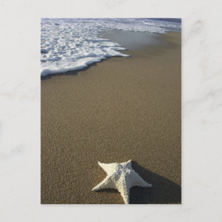 La carte postale de plage