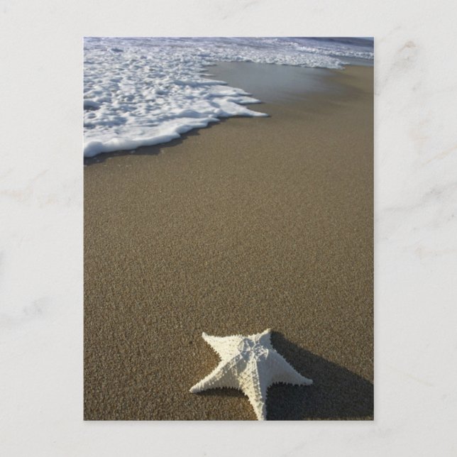 La carte postale de plage (Devant)