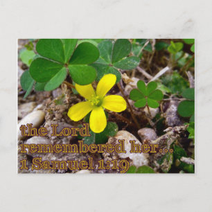 La carte postale de verset biblique Le Seigneur se