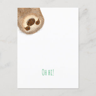 La carte postale Stanley sloth 'oh salut ! '