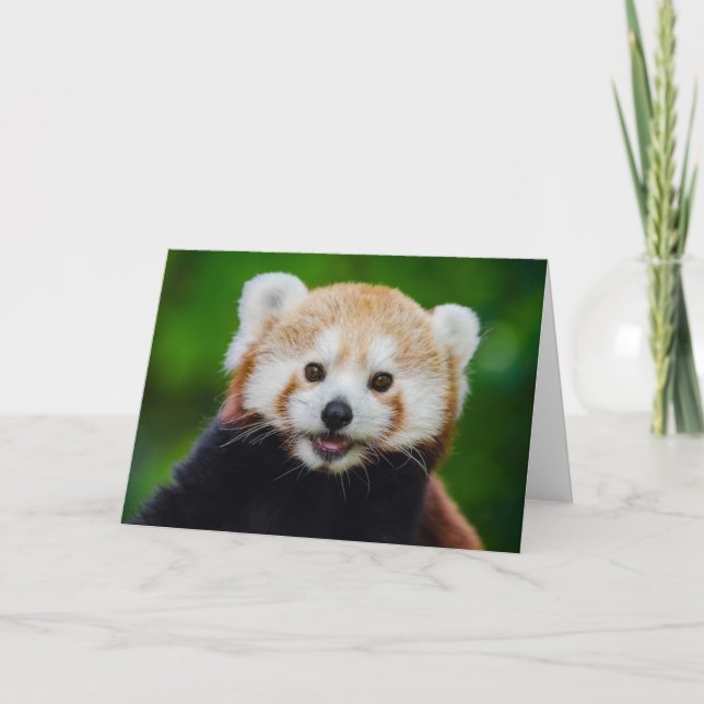 La carte rouge Panda Valentine (Devant)
