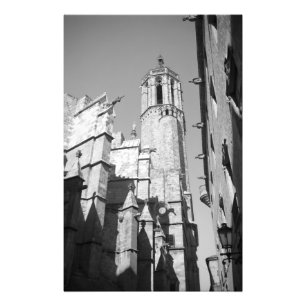 La Catedral Gargoyles Photo (Barcelone, Espagne)