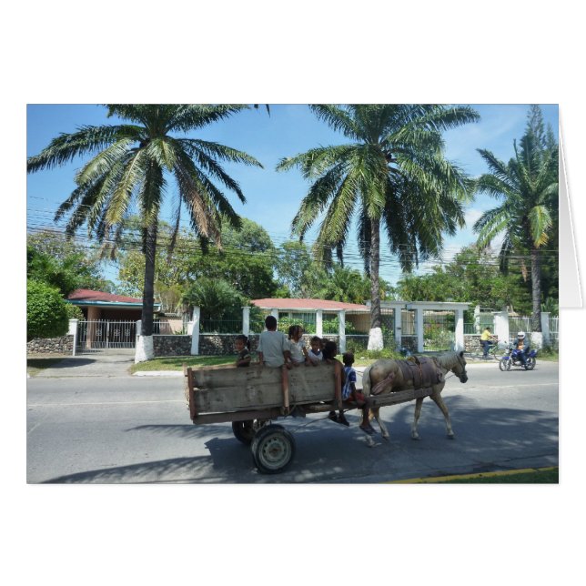 la ceiba cart (Front Horizontal)