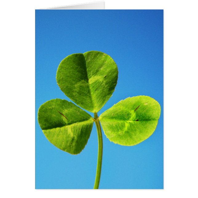 La chance irlandaise (Devant)