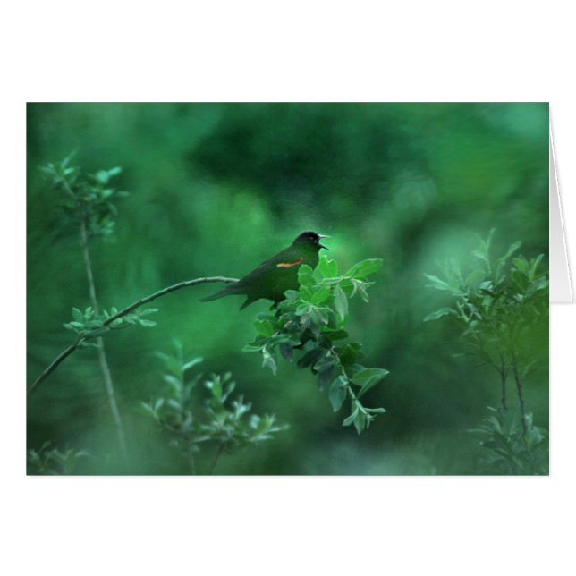 La Chanson (Devant horizontal)