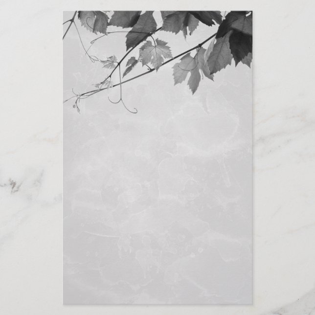 La chute laisse la papeterie gothique (Devant)