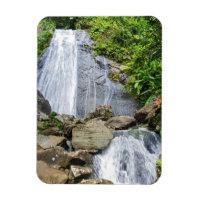 La coca falls of el yunque national forest