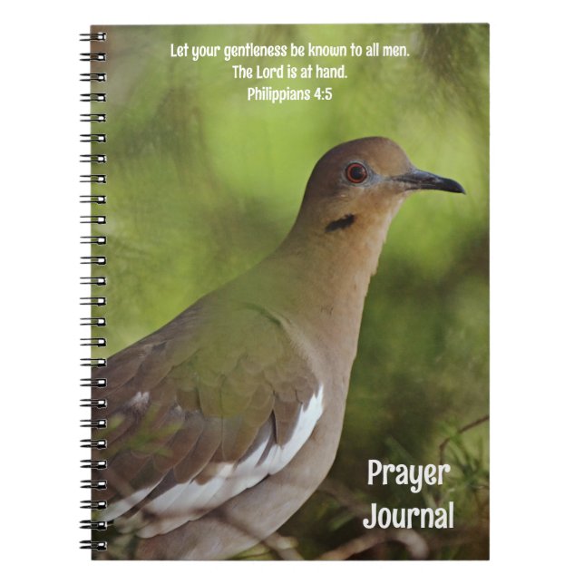La colombe douce dans l'arbre Bible Verse Journal  (Devant)