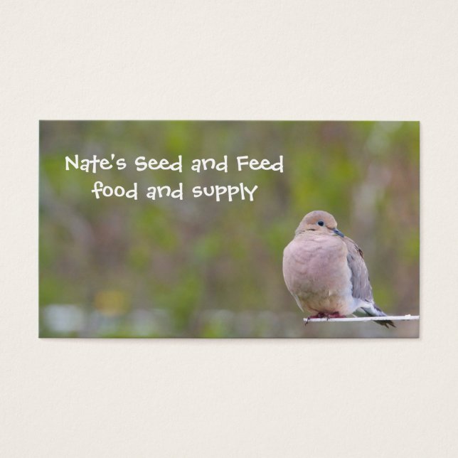 La colombe en deuil (Devant)