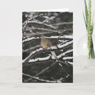 La colombe en deuil dans la neige Carte de voeux
