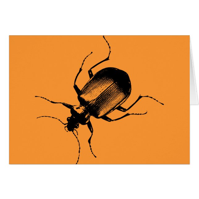La Cucaracha (Front Horizontal)