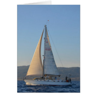 La Dame Ombragée En Début De Matin