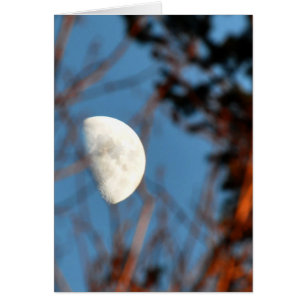 La demi-lune à travers les branches de la caserne