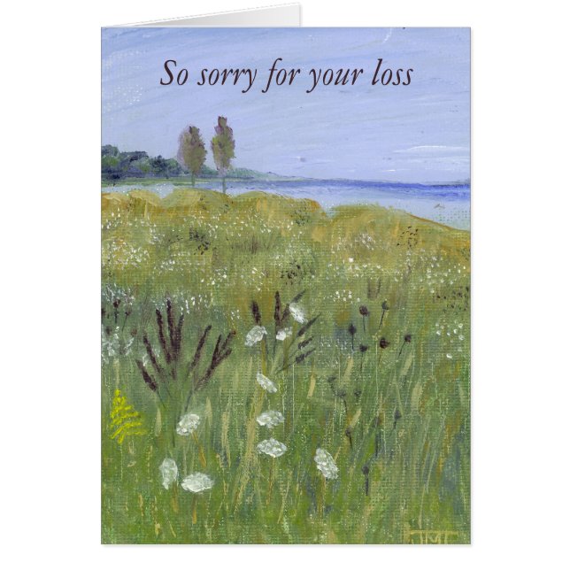 La dentelle de la reine Anne (Devant)