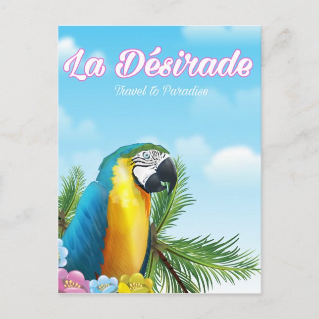 La Désirade Parrot travel poster Postcard (Front)