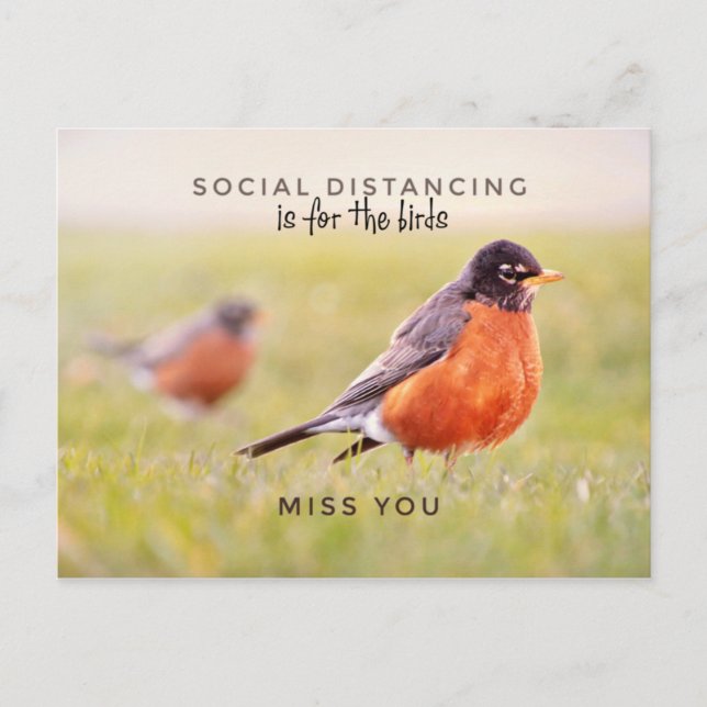 La Distance Sociale Est Pour Les Oiseaux Carte Pos (Devant)