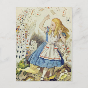 La douche des cartes