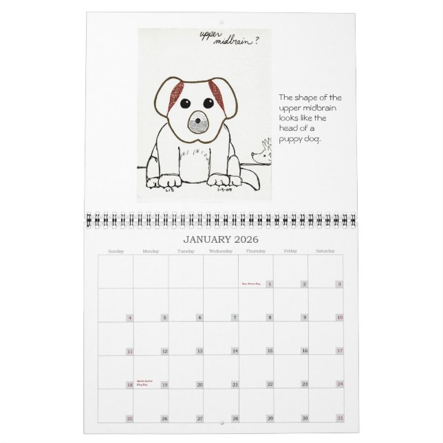 La Faculté de Médecine esquisse le calendrier 2007 (Jan 2026)