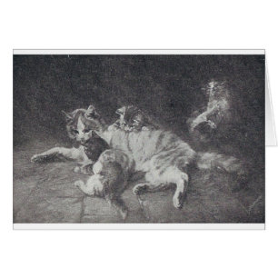 La famille des chats