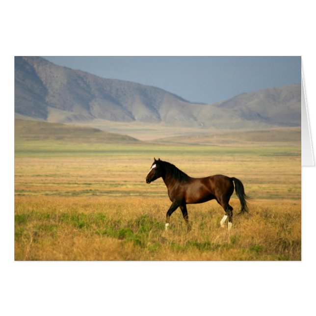 La Fière (Devant horizontal)