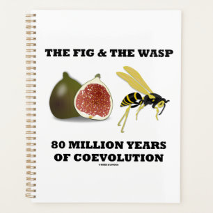 La Fig Et La Wasp 80 Millions D'Années De Coévolut
