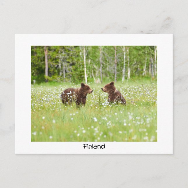 La Finlande porte la carte postale (Devant)