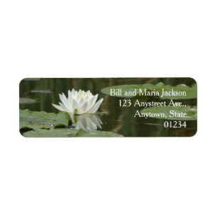 La fleur blanche de nénuphar capitonne la