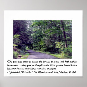 La forêt de Nietzsche - affiche