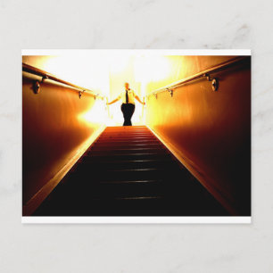 La foudre des papillons par carte postale Niki