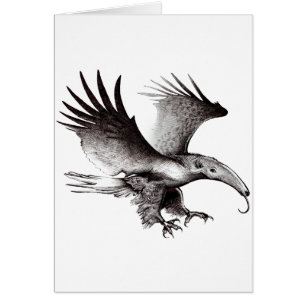 La fourmi Eagle