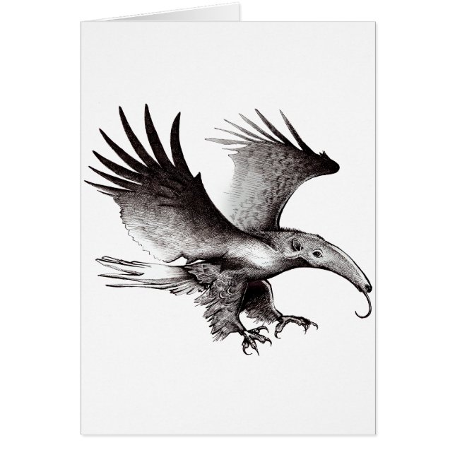 La fourmi Eagle (Devant)