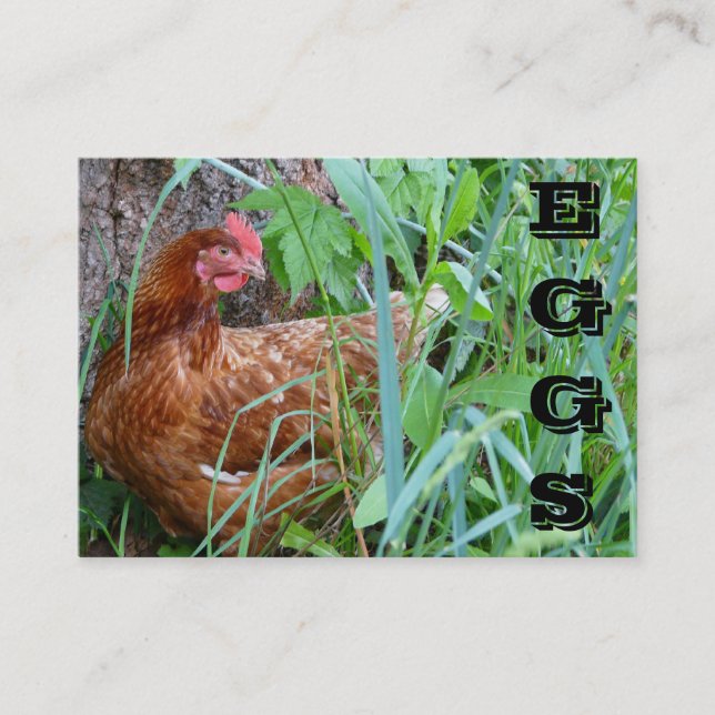La gamme libre EGGS le carte de visite de poulet (Devant)