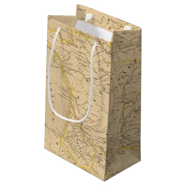 La Gaule Small Gift Bag (Back Angled)