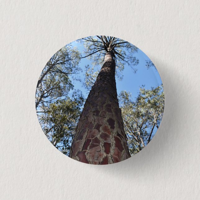 La Gerche Ponderosa Pine Badge 1 Inch Round Button (Front)