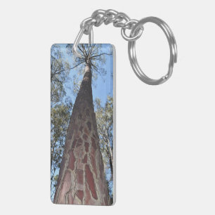 La Gerche Ponderosa Pine Cercle