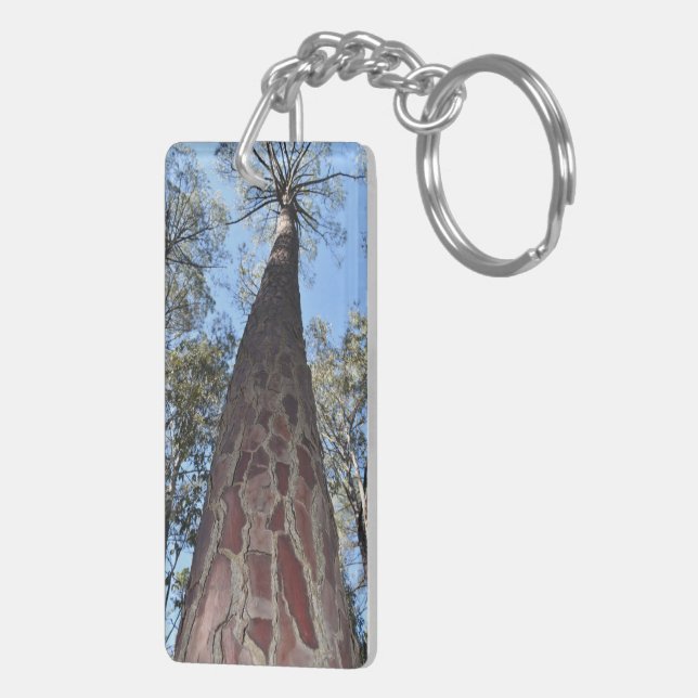 La Gerche Ponderosa Pine Key Ring (Back Right)