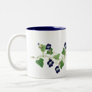 La gloire de matin fleurit la tasse florale de