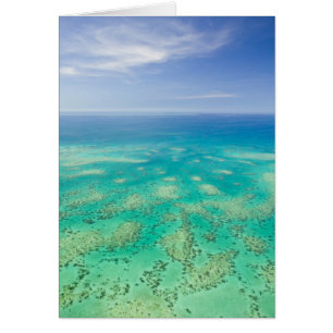 La Grande Barrière de corail, vue aérienne de Gree