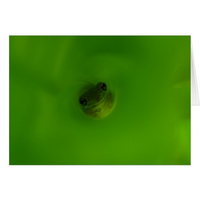 La grenouille (Devant horizontal)
