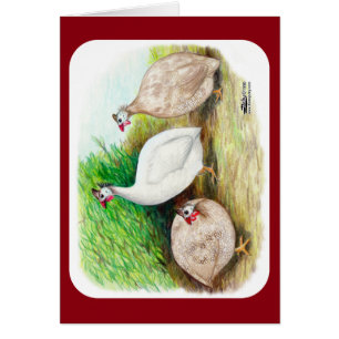 La Guinée est tombée à l'extérieur