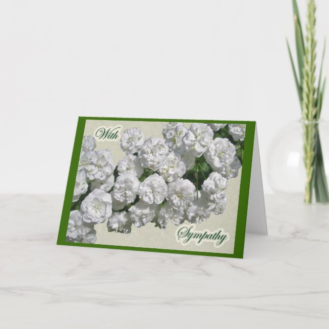 La guirlande nuptiale Spirea fleurit la carte de (Devant)