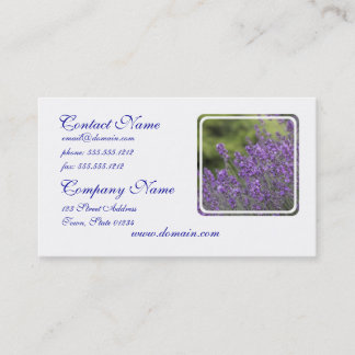 La jolie lavande met en place des cartes de visite