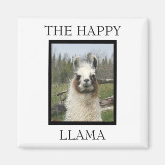 LA JOLIE MAGNET DE LAMA