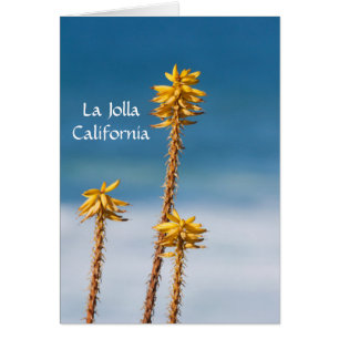 La Jolla Agave et Océan