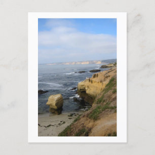 La Jolla Beach Seabirds Custom California Postcard